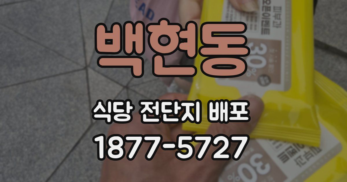 백현동 식당 전단지 배포