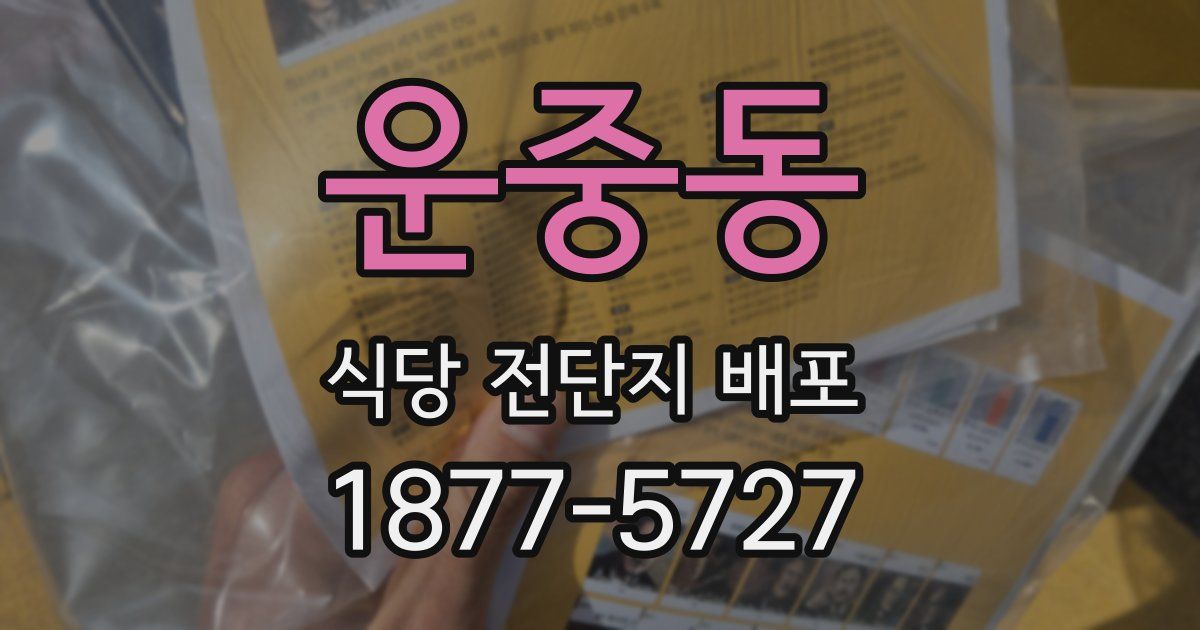 운중동 식당 전단지 배포
