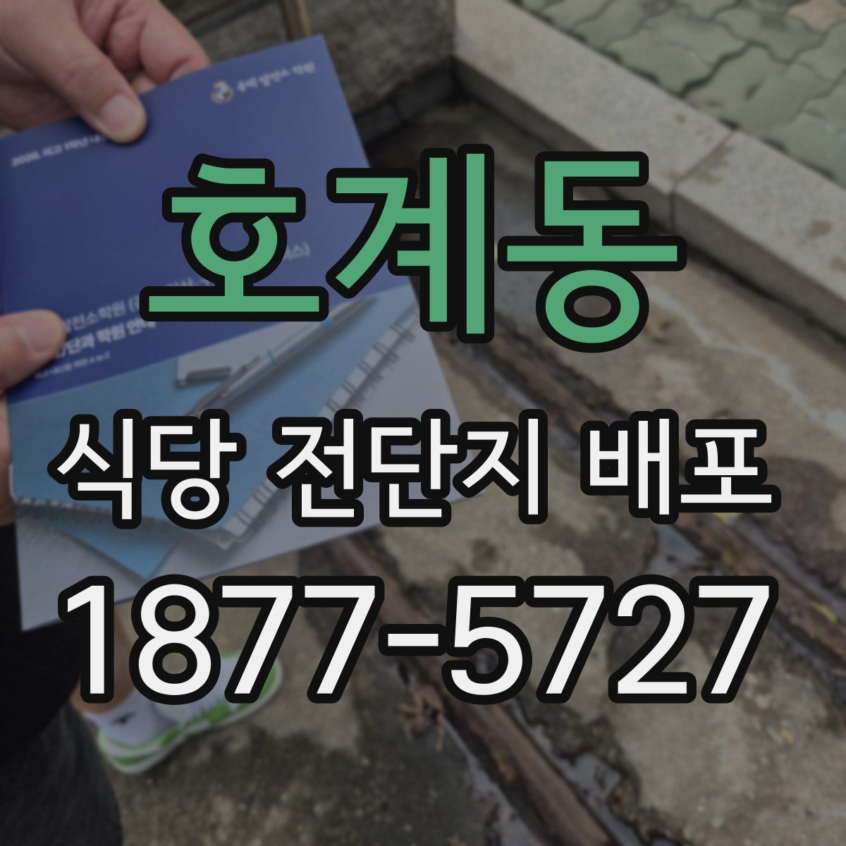 호계동 식당 전단지 배포