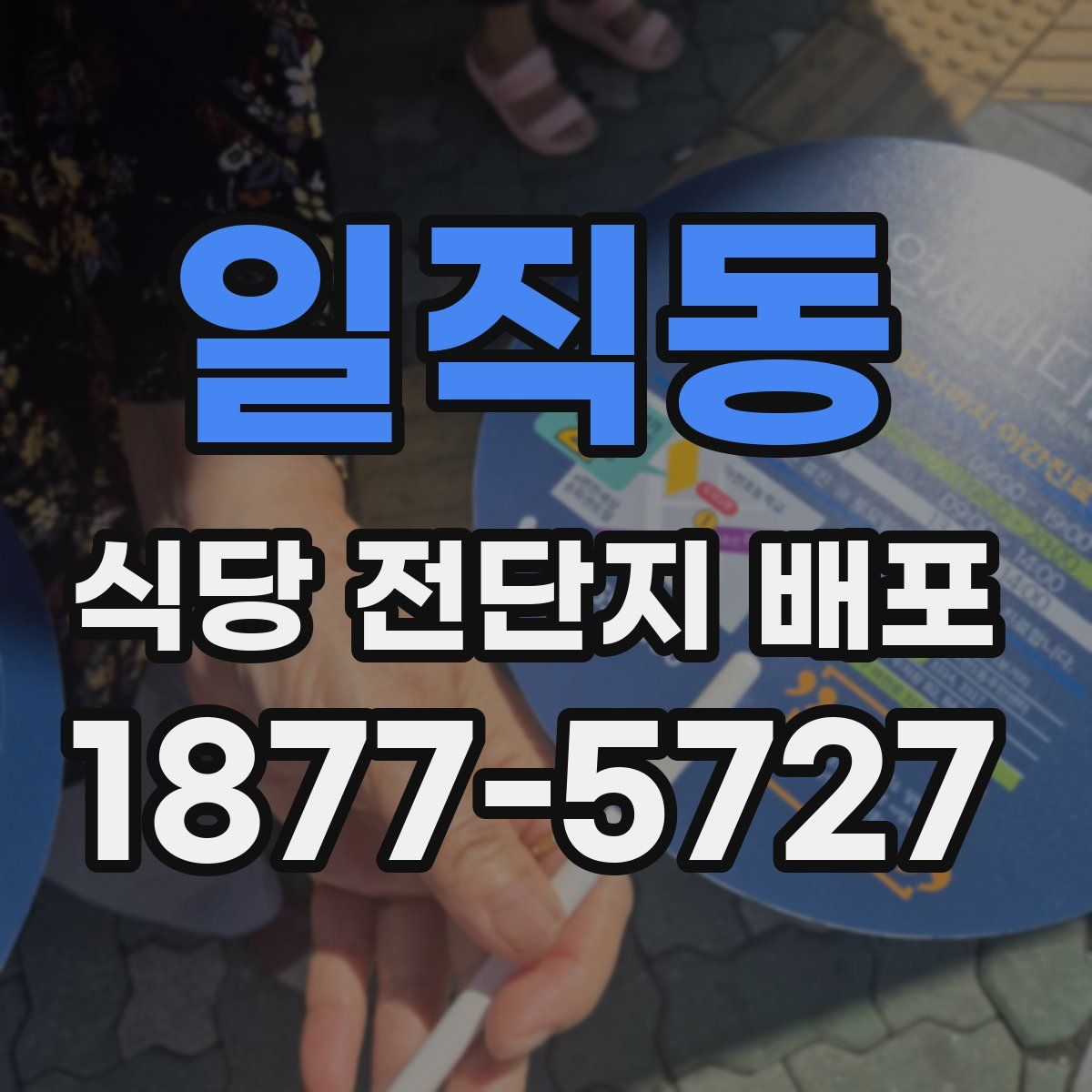 일직동 식당 전단지 배포