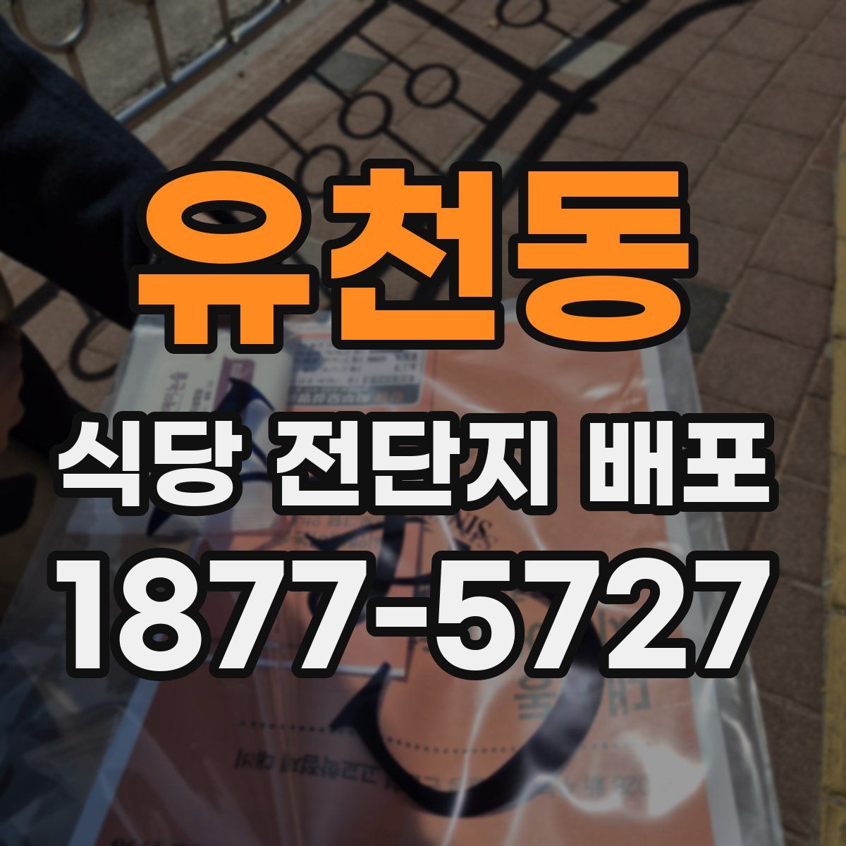 유천동 식당 전단지 배포