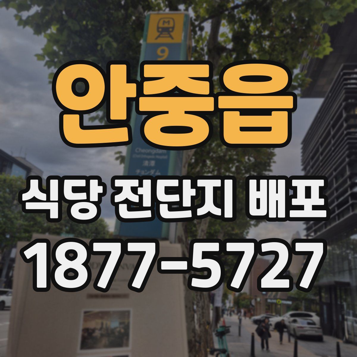 안중읍 식당 전단지 배포