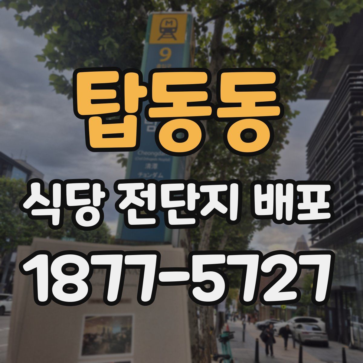 탑동동 식당 전단지 배포