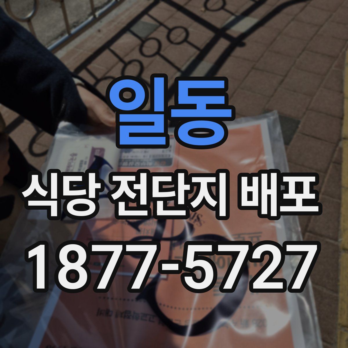 일동 식당 전단지 배포