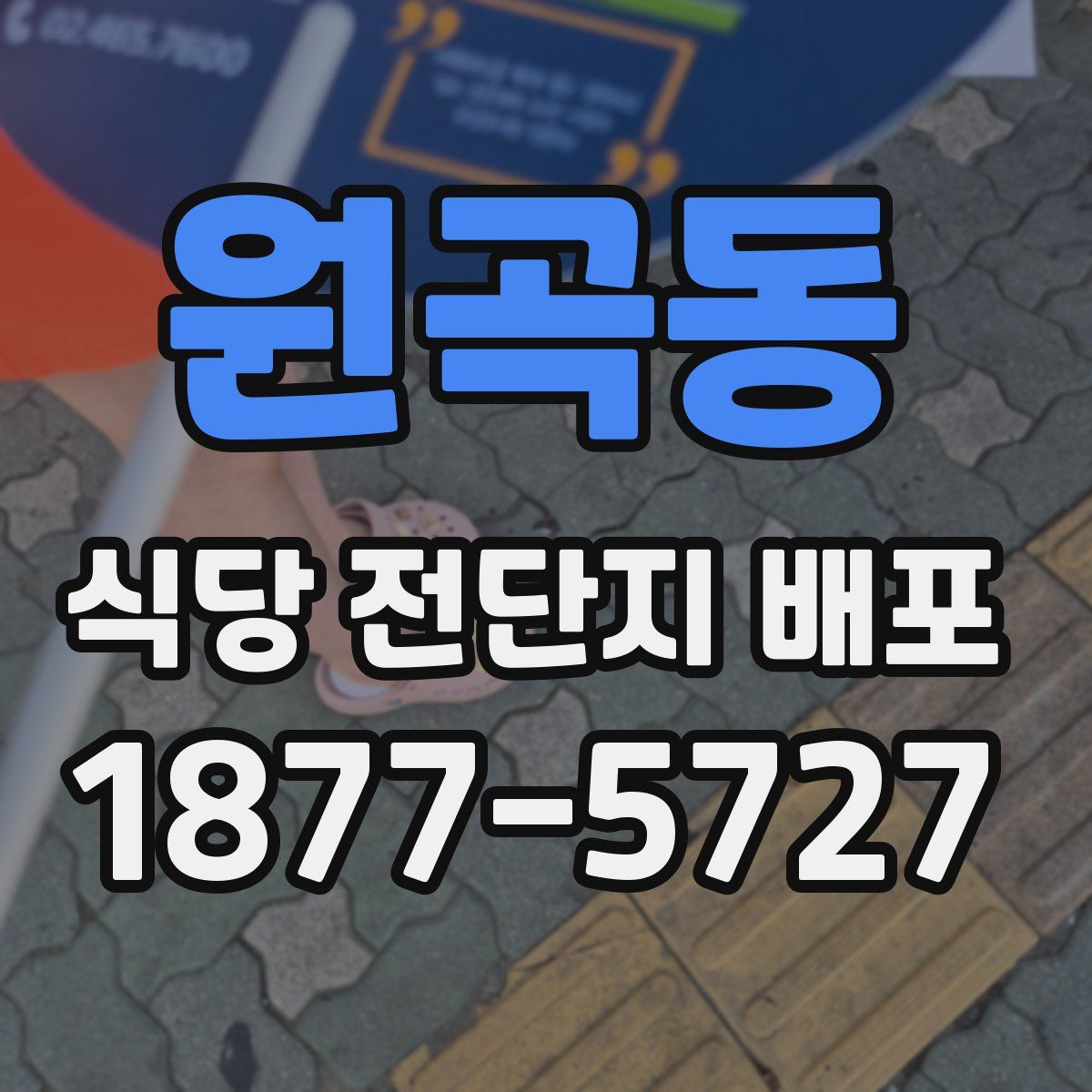 원곡동 식당 전단지 배포