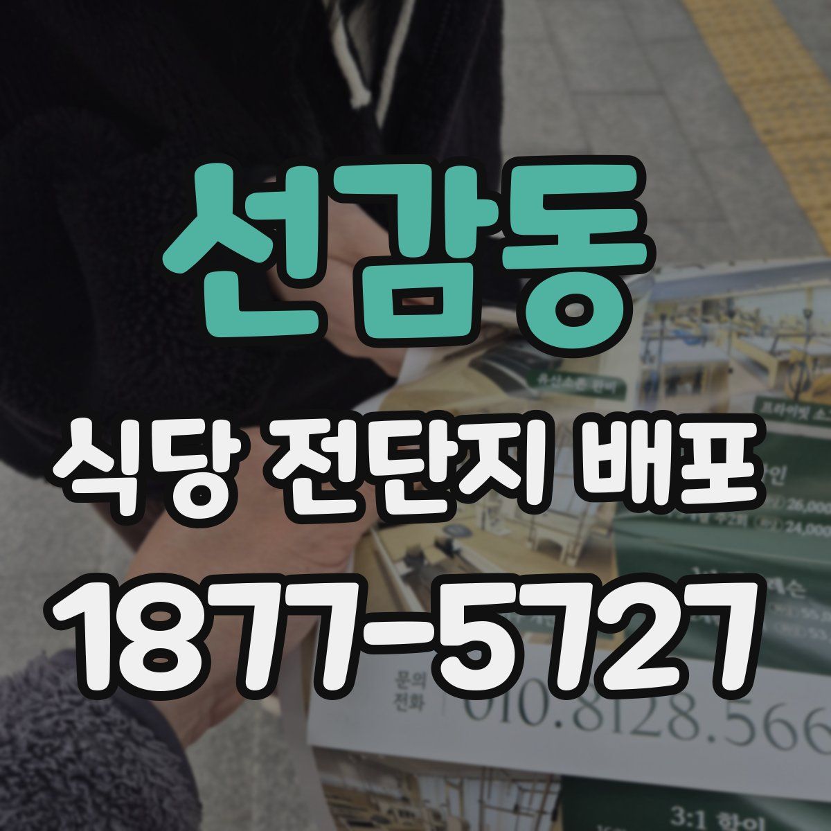 선감동 식당 전단지 배포
