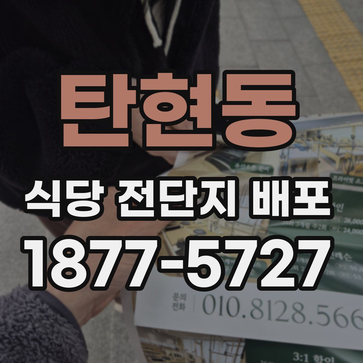 탄현동 식당 전단지 배포