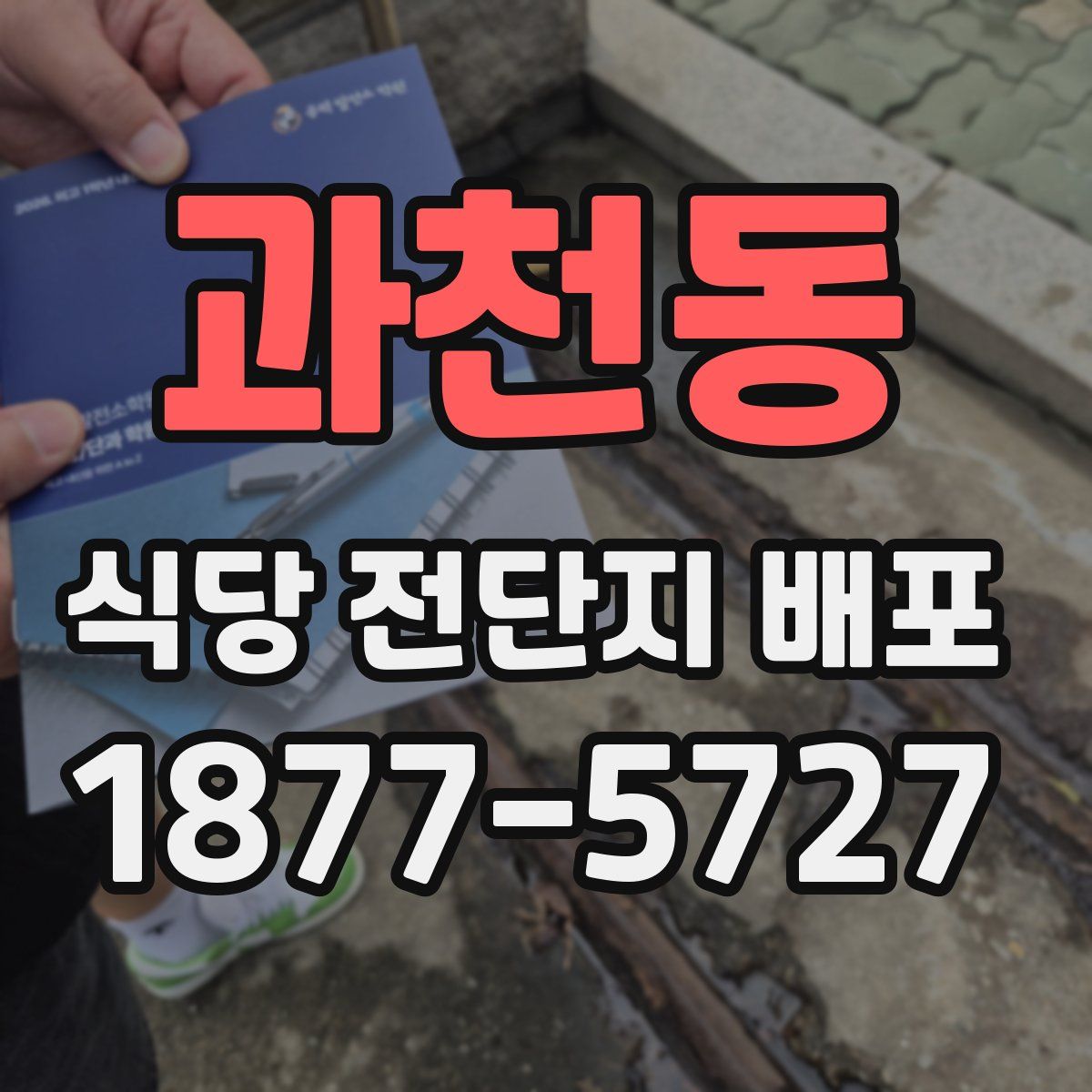 과천동 식당 전단지 배포