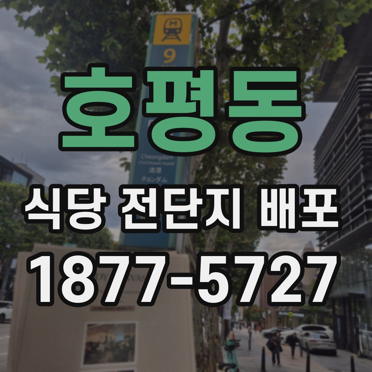 호평동 식당 전단지 배포