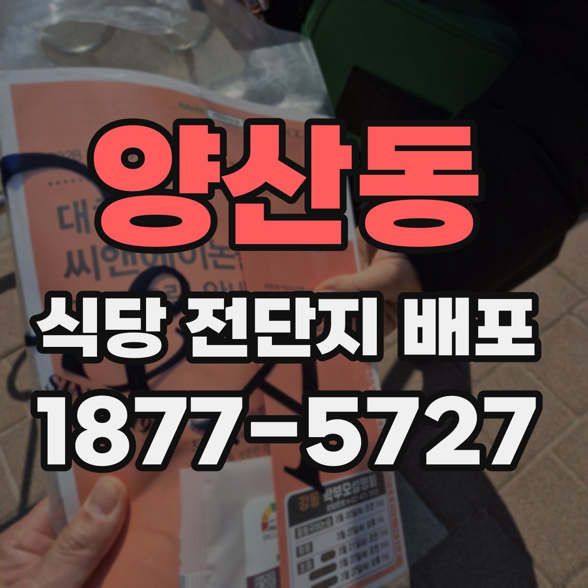 양산동 식당 전단지 배포