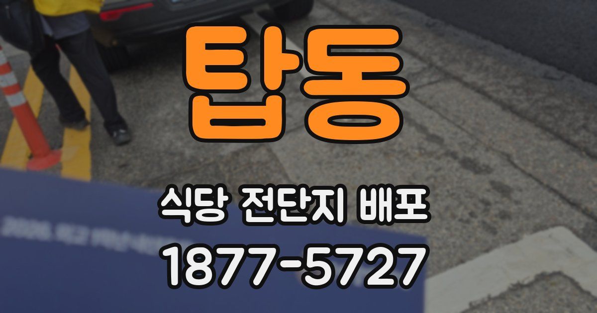 탑동 식당 전단지 배포