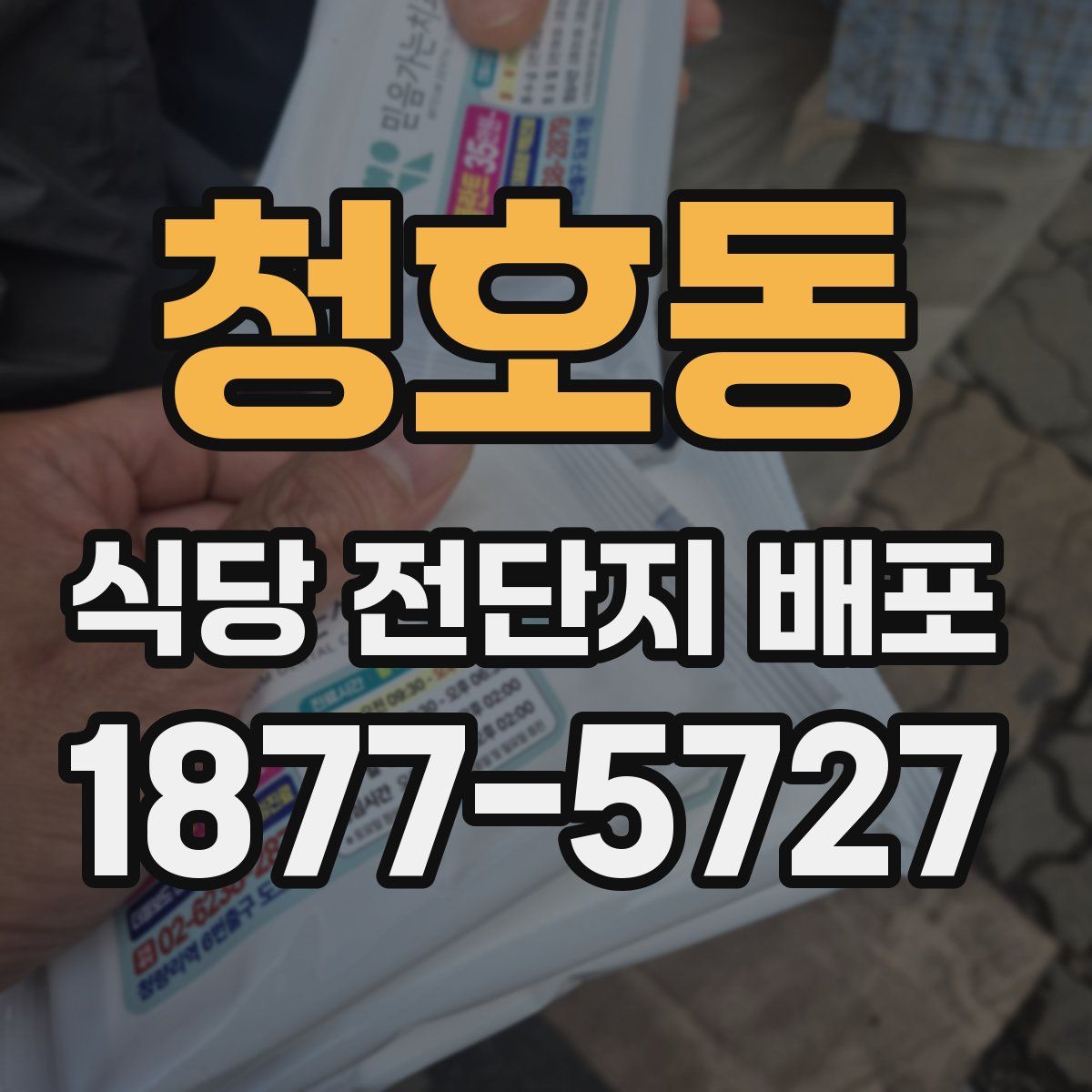 청호동 식당 전단지 배포