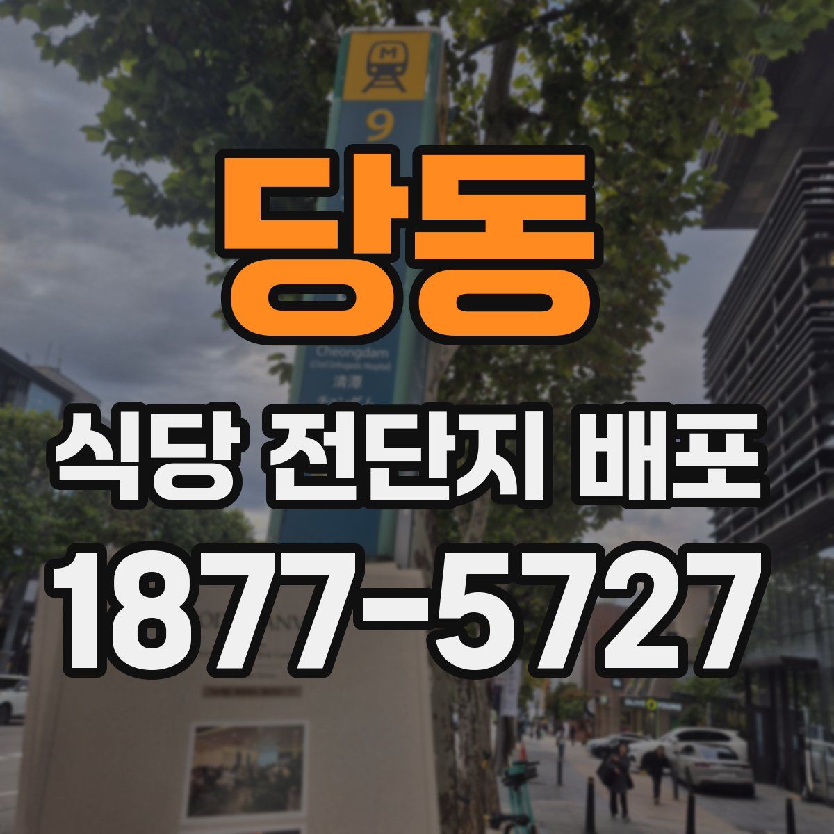 당동 식당 전단지 배포