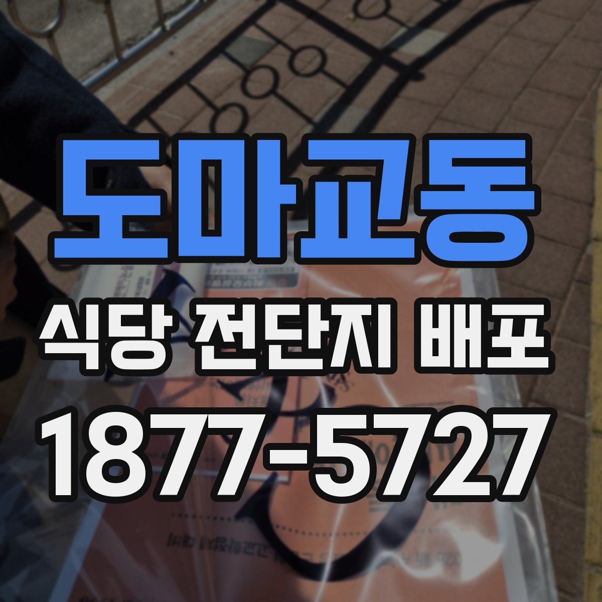 도마교동 식당 전단지 배포