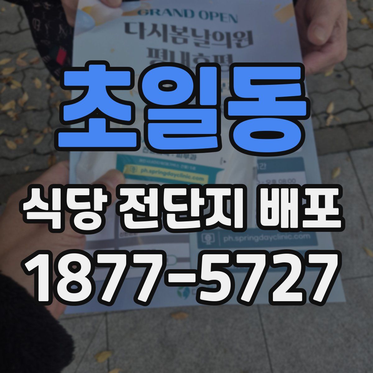 초일동 식당 전단지 배포