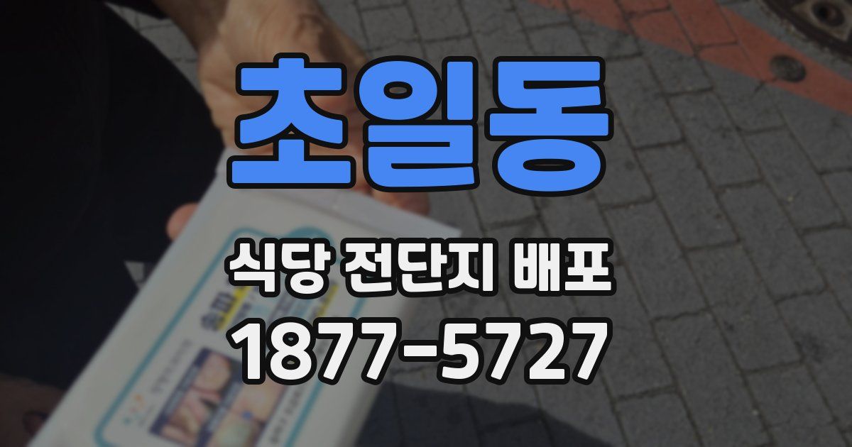초일동 식당 전단지 배포