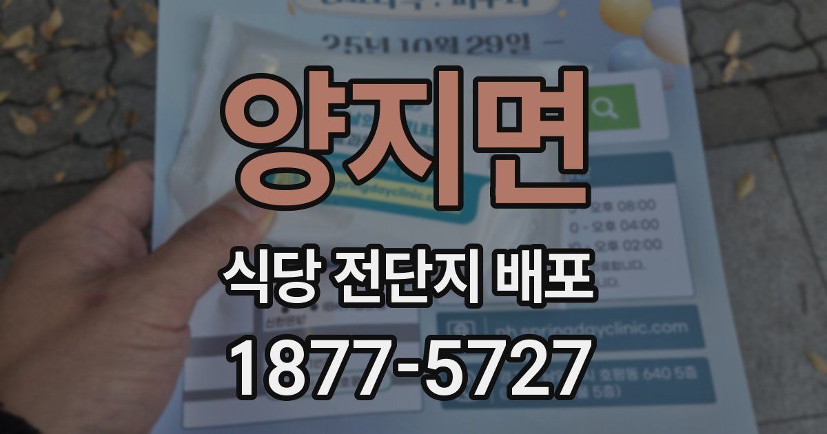 양지면 식당 전단지 배포