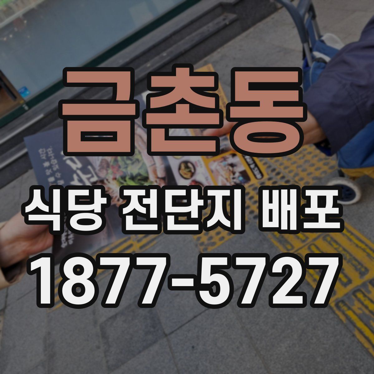 금촌동 식당 전단지 배포