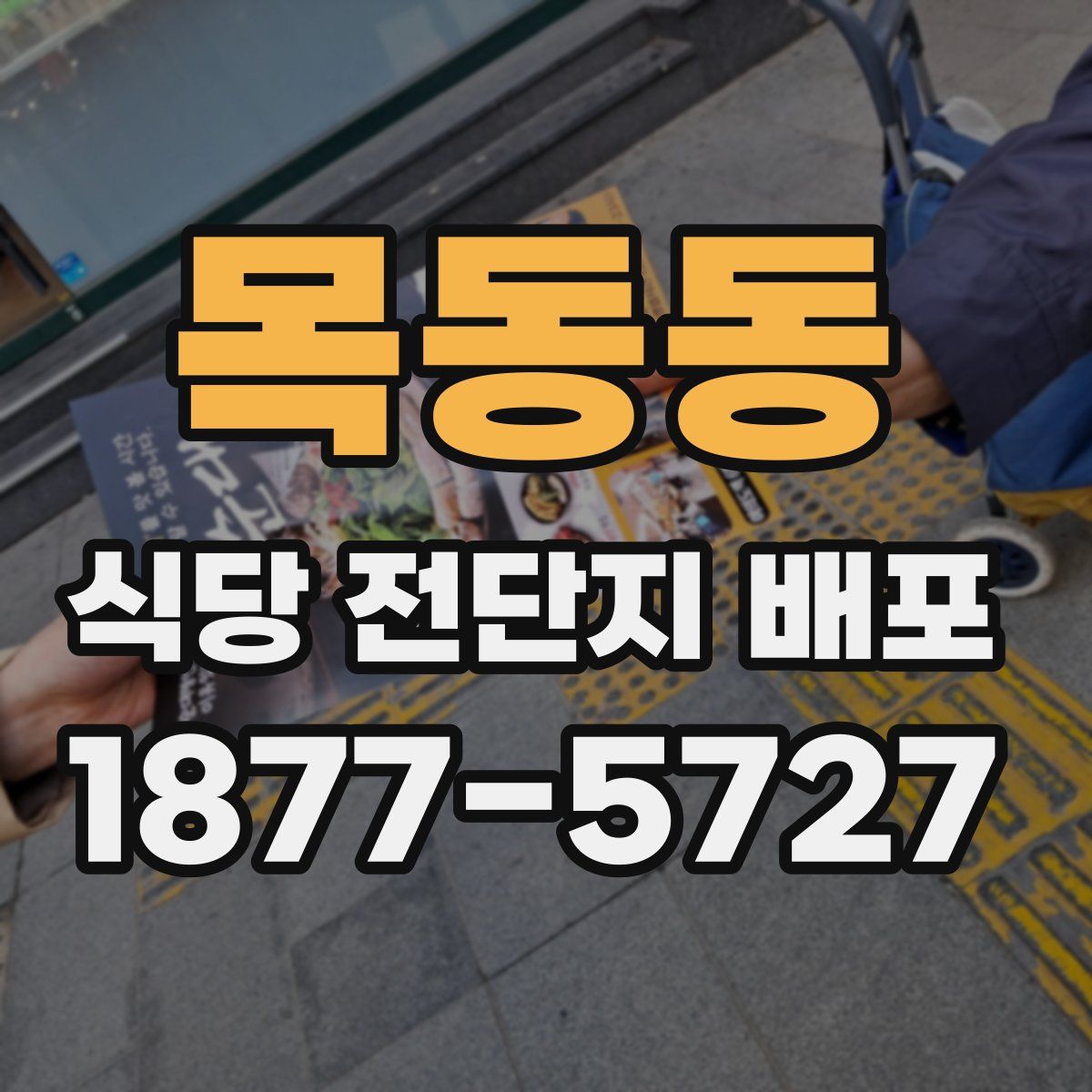 목동동 식당 전단지 배포