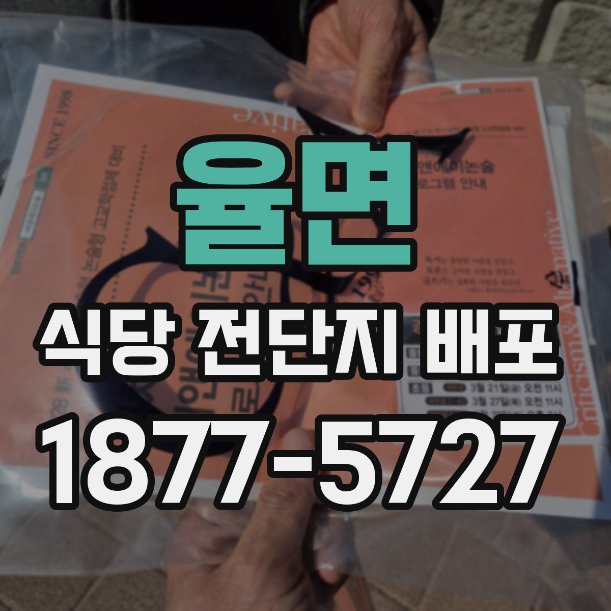 율면 식당 전단지 배포
