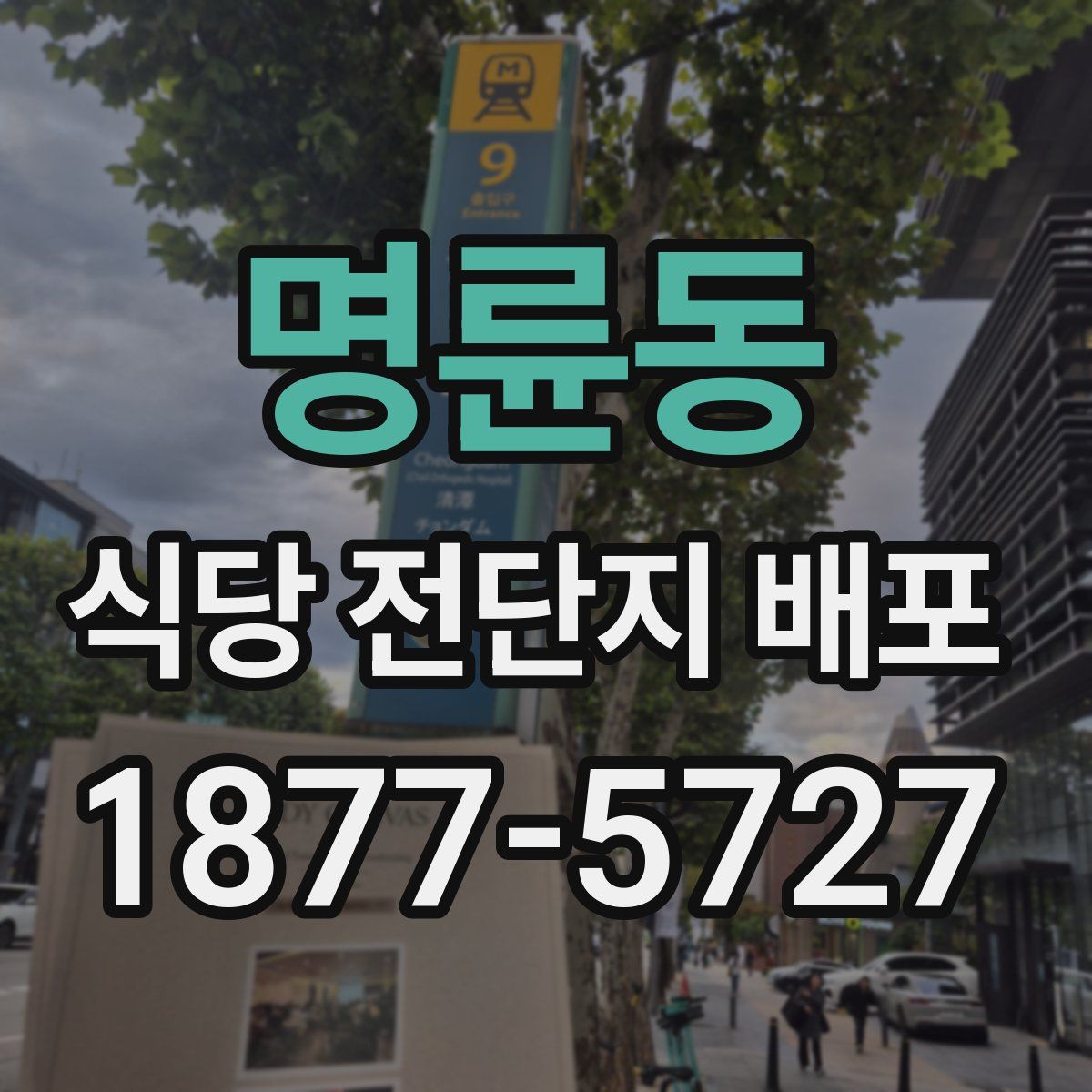 명륜동 식당 전단지 배포