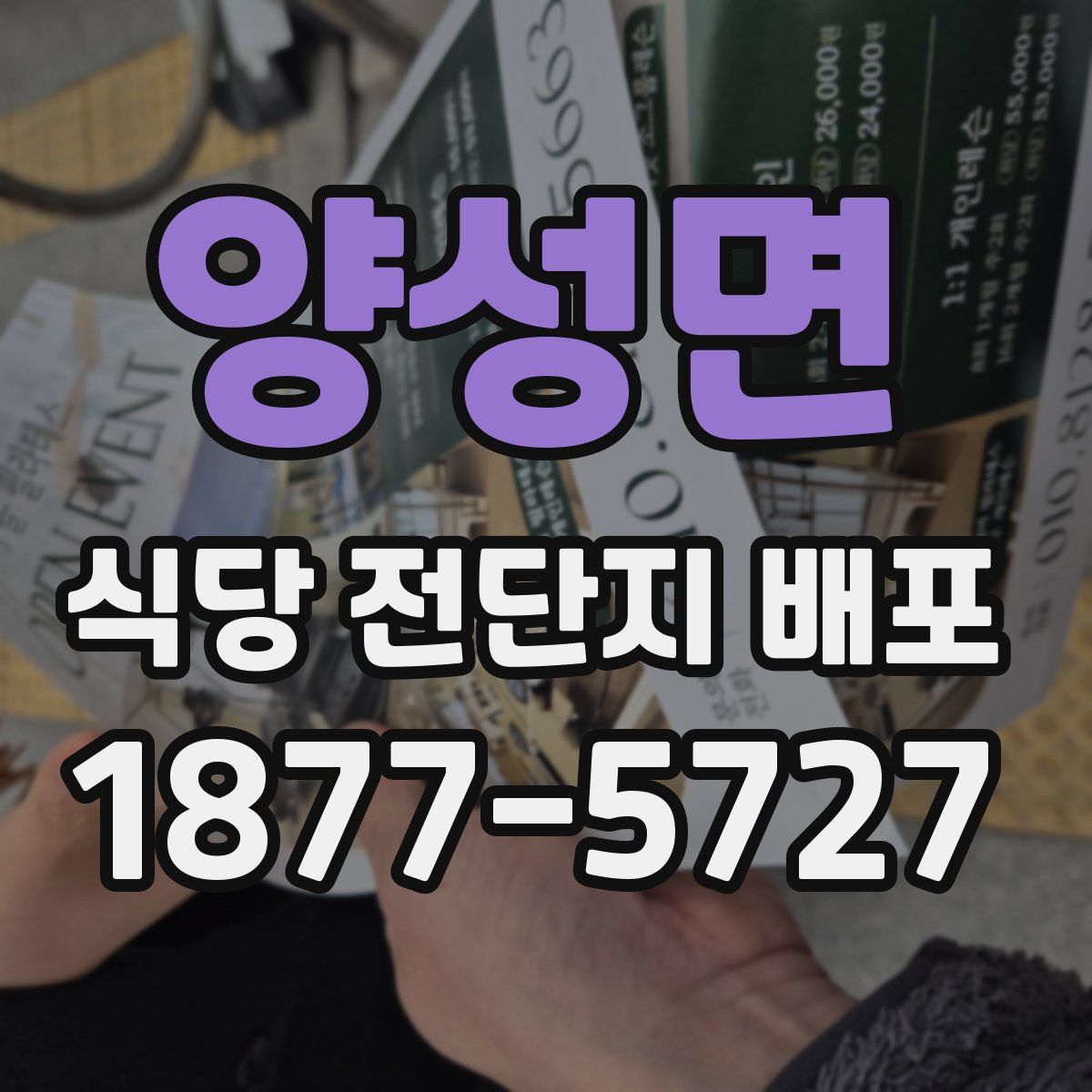 양성면 식당 전단지 배포
