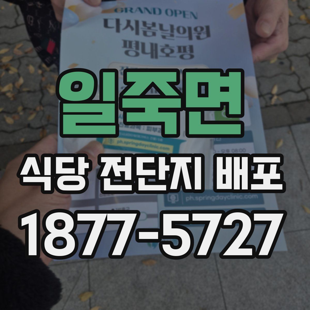 일죽면 식당 전단지 배포