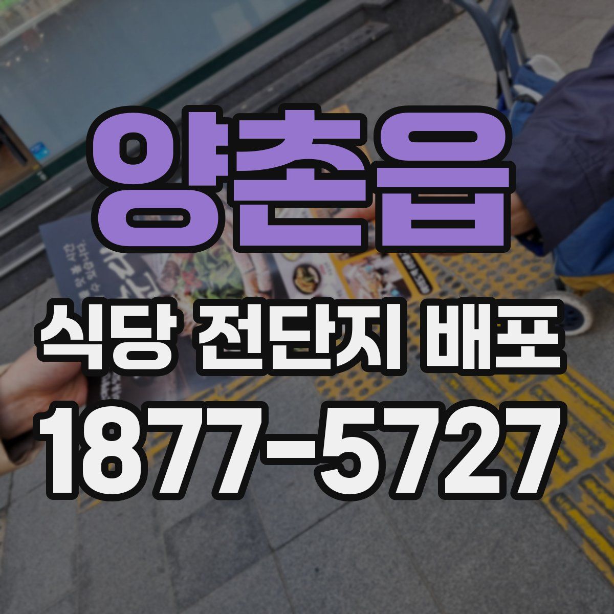 양촌읍 식당 전단지 배포