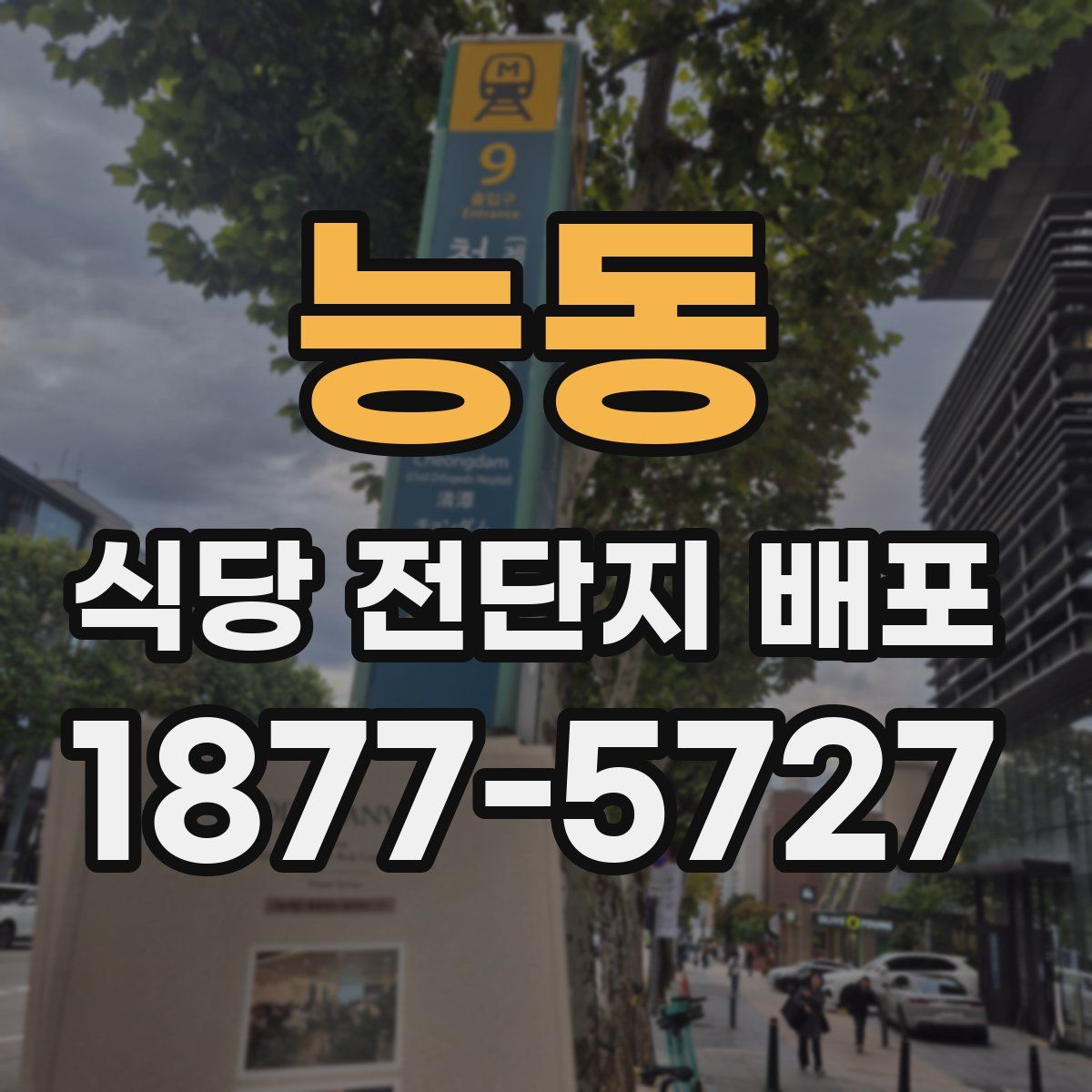 능동 식당 전단지 배포