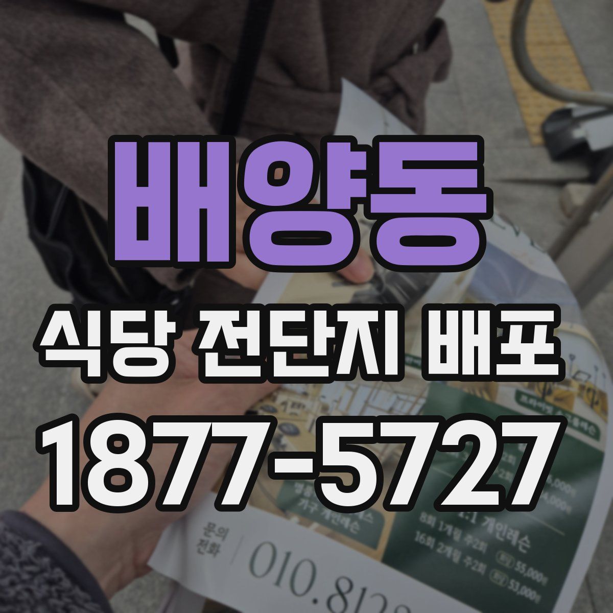 배양동 식당 전단지 배포