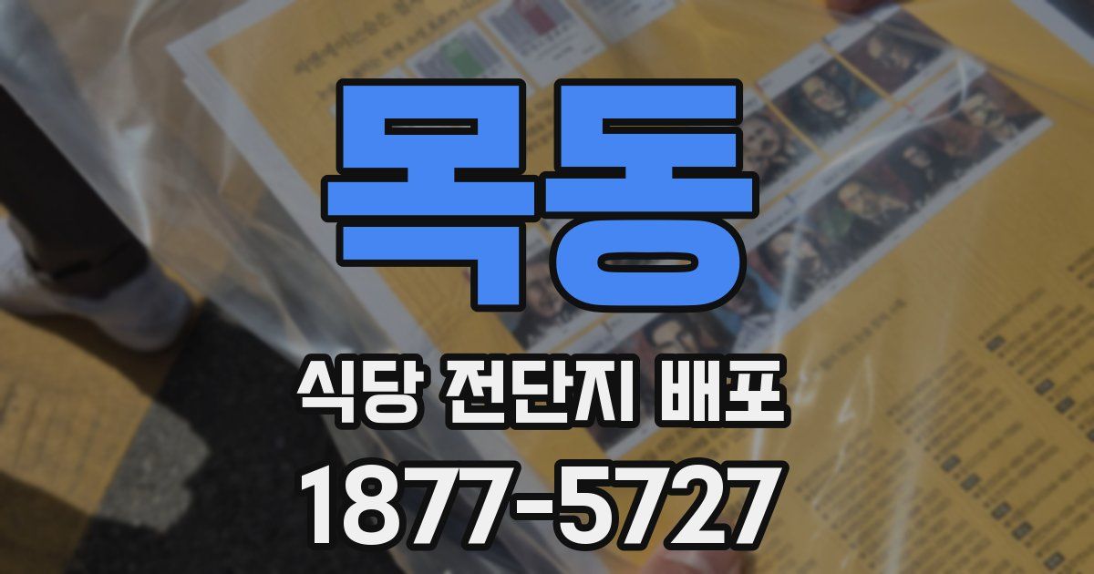 목동 식당 전단지 배포
