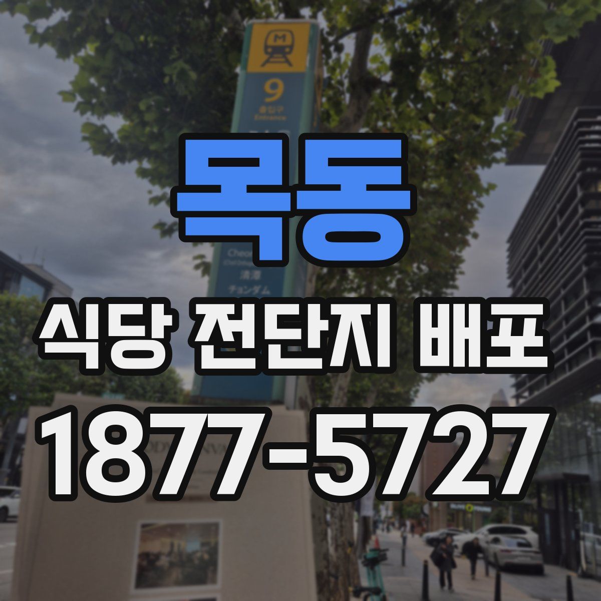 목동 식당 전단지 배포