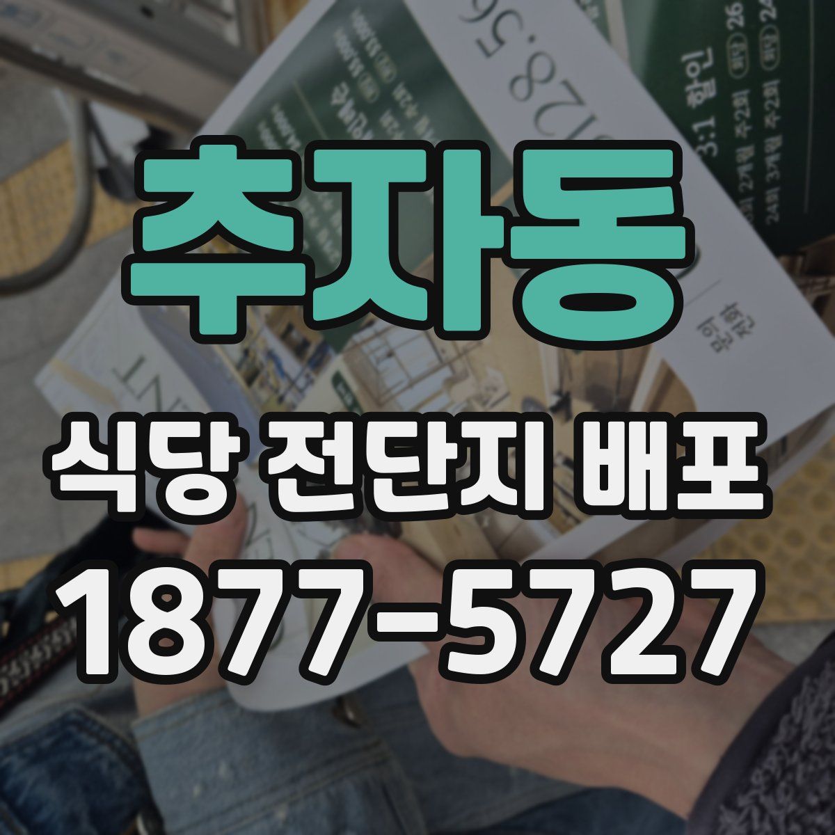 추자동 식당 전단지 배포