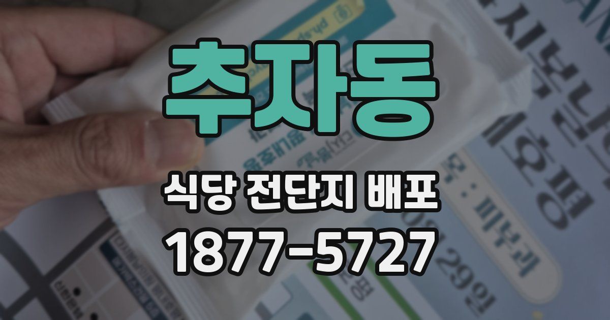추자동 식당 전단지 배포