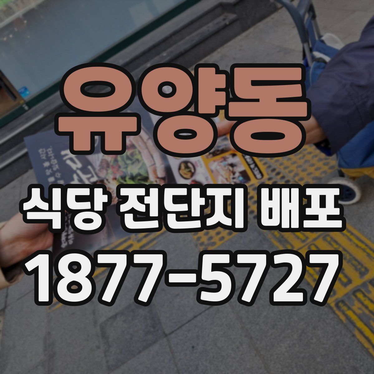 유양동 식당 전단지 배포