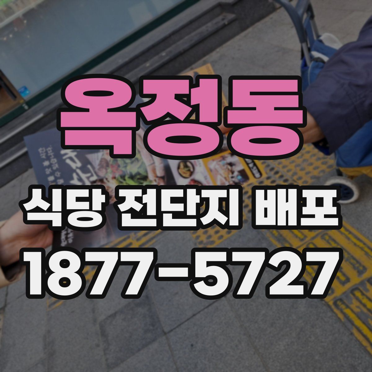 옥정동 식당 전단지 배포