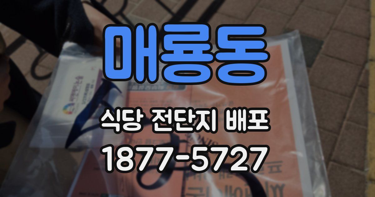 매룡동 식당 전단지 배포