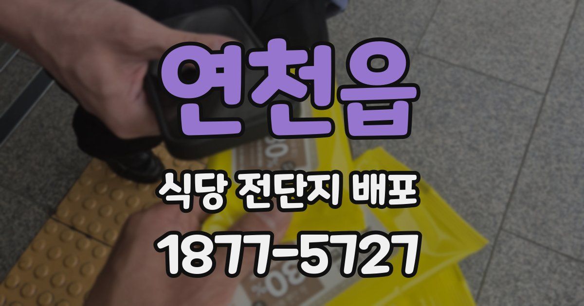 연천읍 식당 전단지 배포