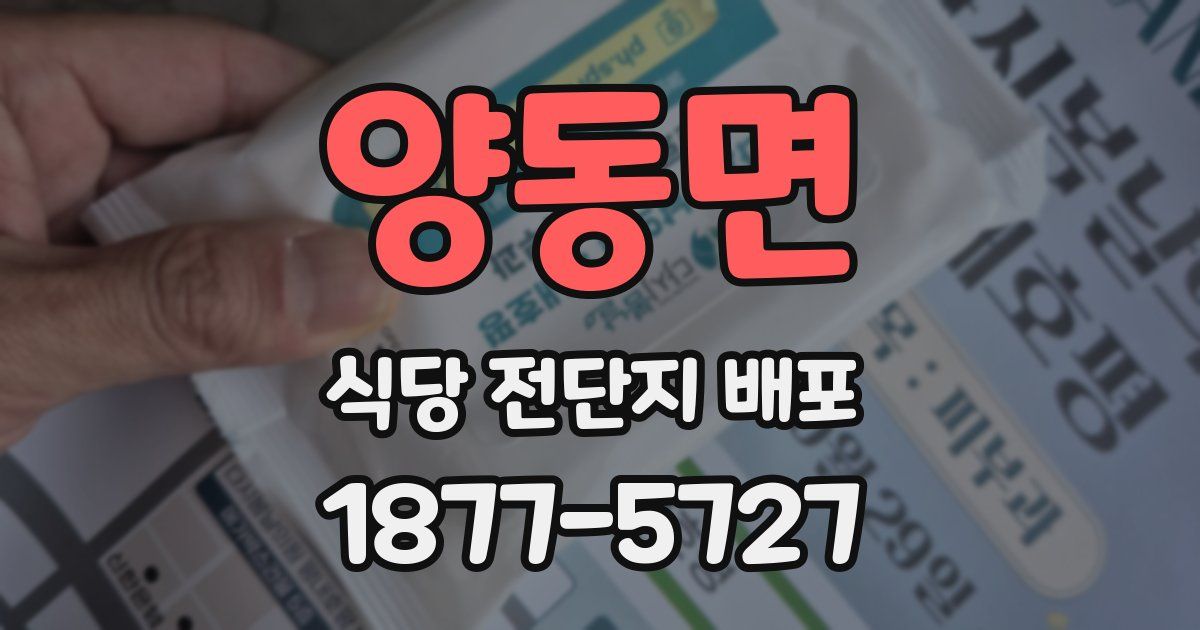 양동면 식당 전단지 배포