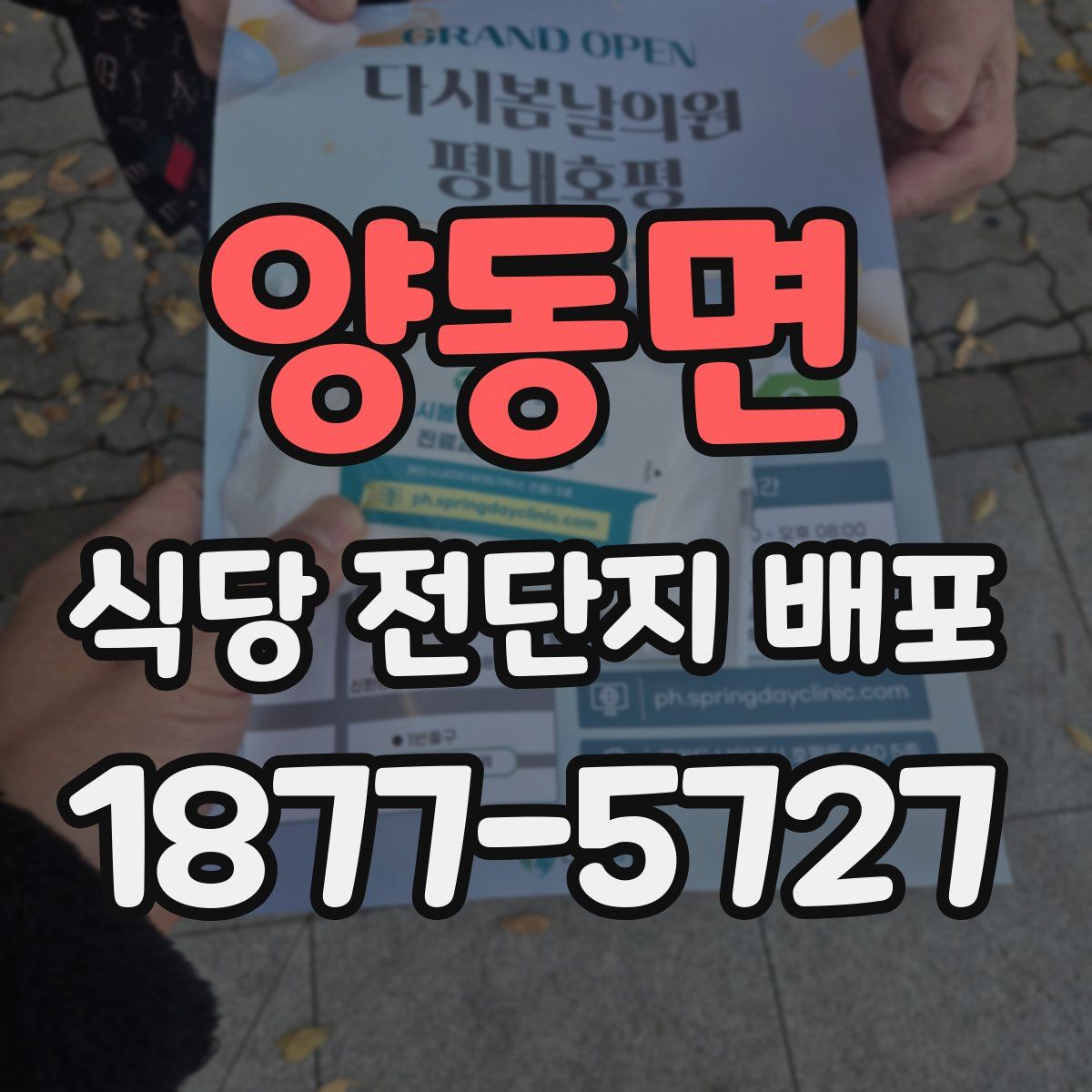양동면 식당 전단지 배포
