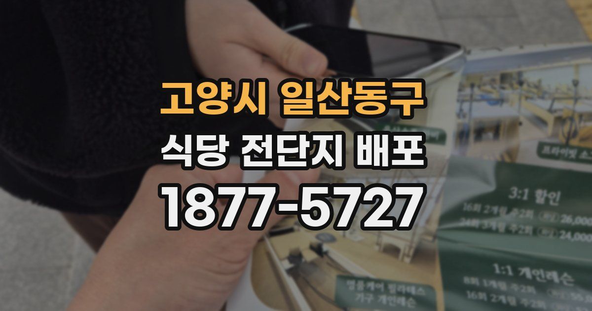 고양시 일산동구 식당 전단지 배포