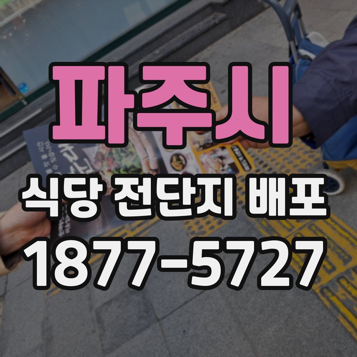 파주시 식당 전단지 배포
