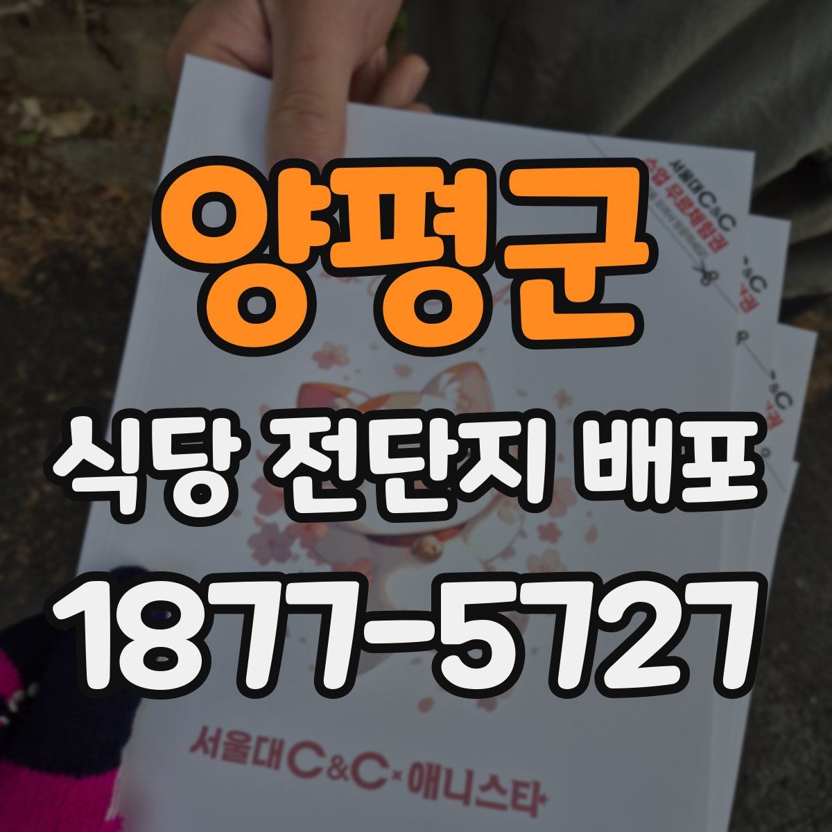 양평군 식당 전단지 배포