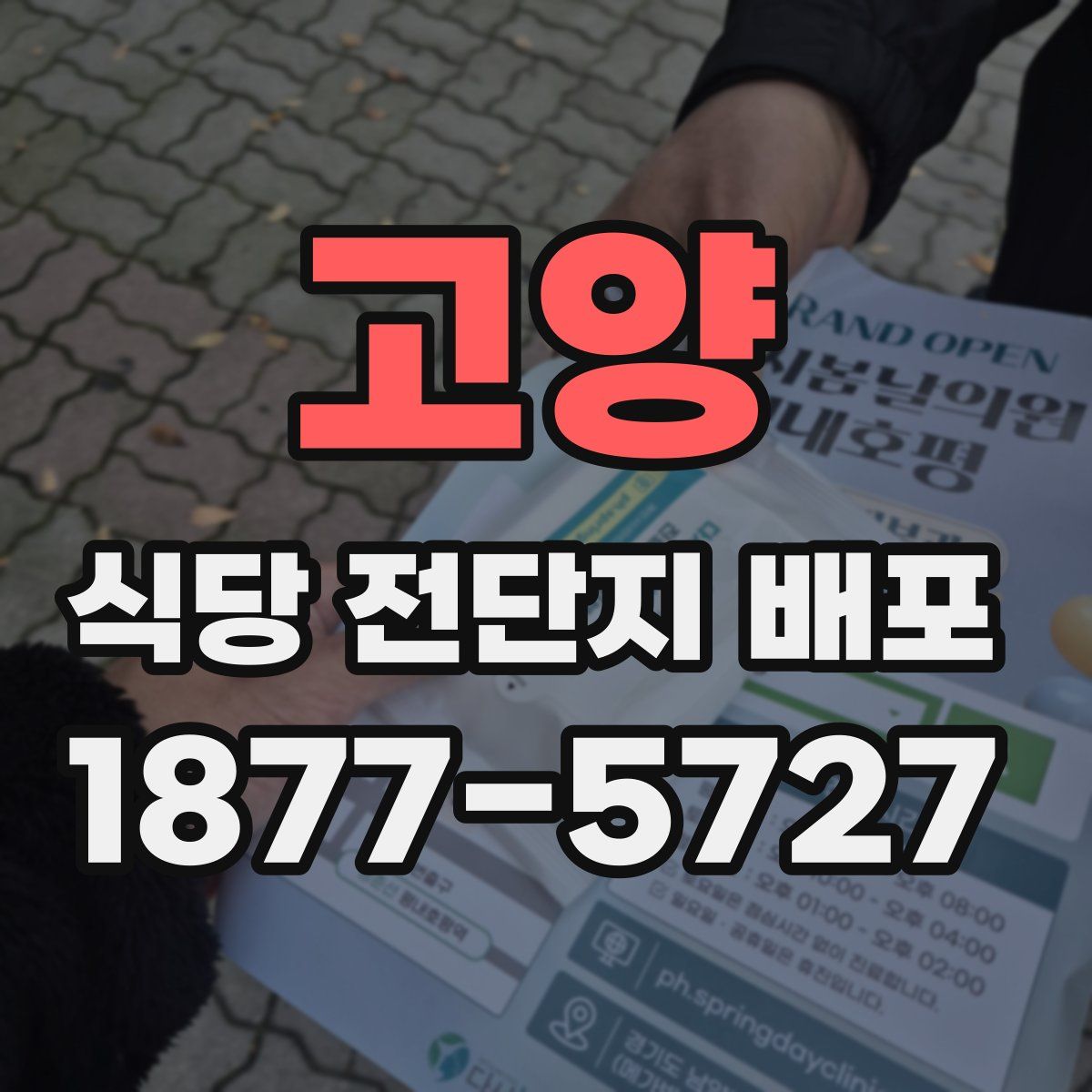 고양 식당 전단지 배포