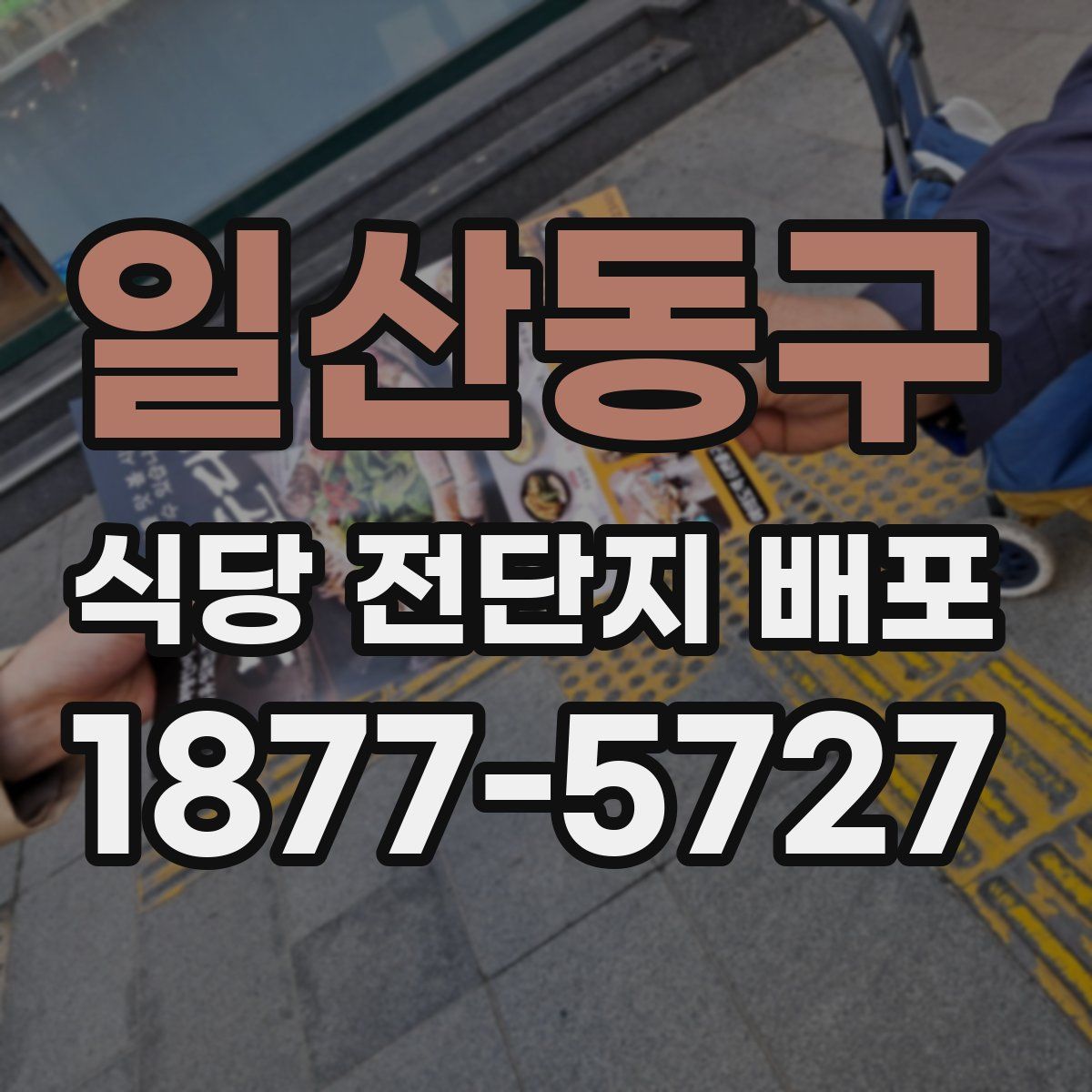 일산동구 식당 전단지 배포
