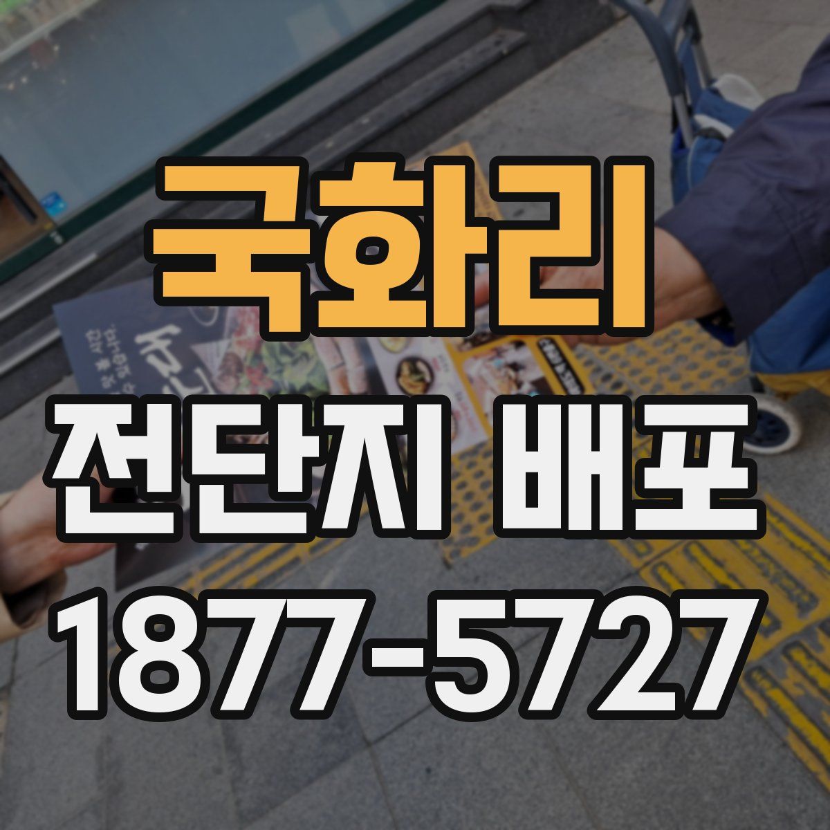 국화리 전단지 배포
