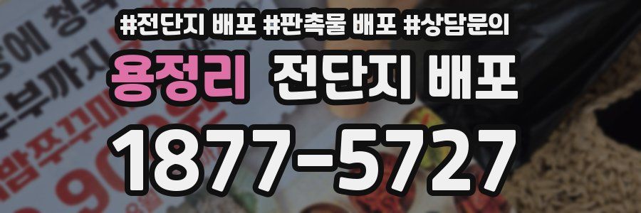 용정리 전단지 배포