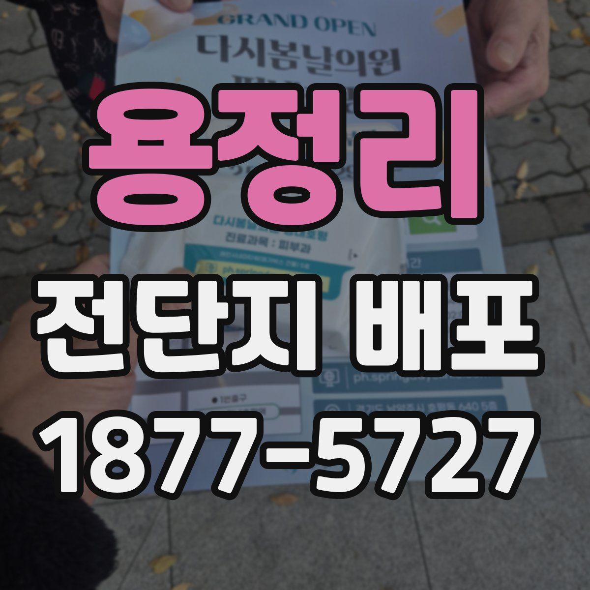 용정리 전단지 배포
