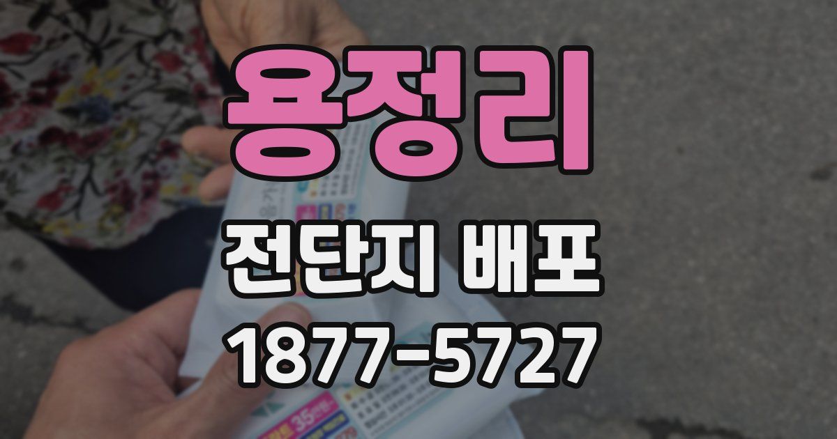 용정리 전단지 배포