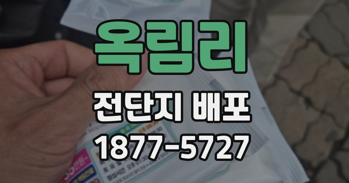 옥림리 전단지 배포